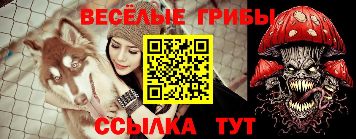 Астрахань  Псилоцибиновые грибы MAGIC MUSHROOMS  где найти   Вход с VPN 