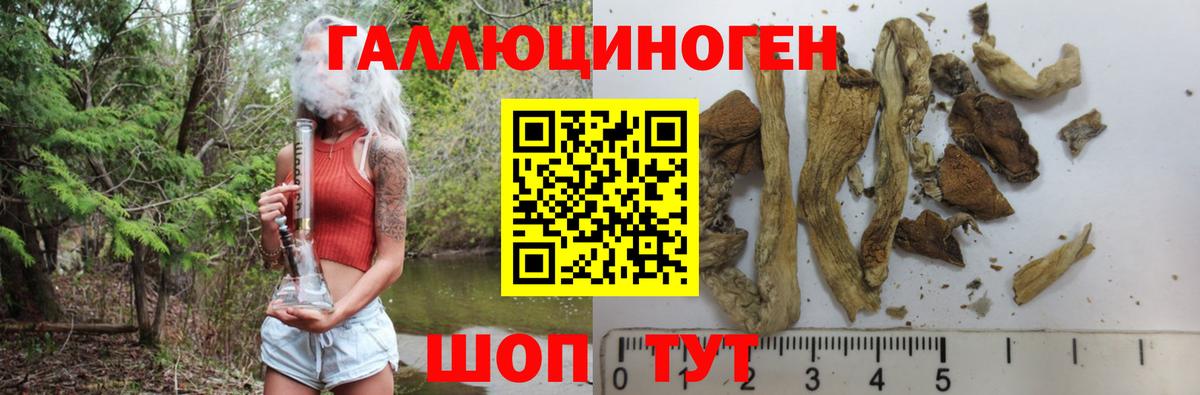 Галлюциногенные грибы GOLDEN TEACHER Астрахань